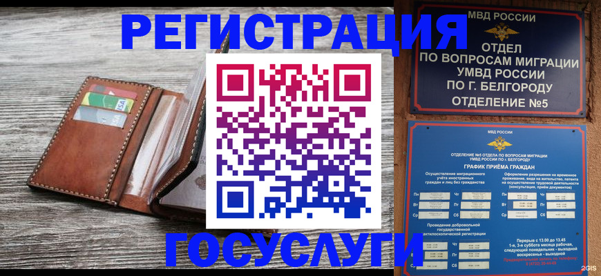 временная регистрация гарантия в Ростовской области